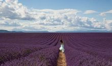 分开心里难受的句子