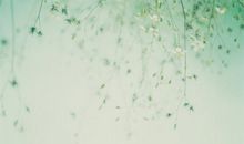 写母女亲情的句子