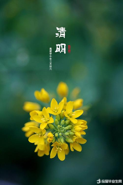清明节句子