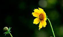 亲情还不如钱重要的句子