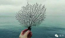 勿忘初心的经典句子