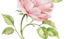 最悲哀的骨肉亲情句子