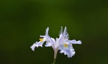 只有利益没有亲情的句子