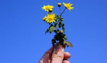 伟人说过亲情的句子