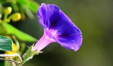 用金钱衡量亲情的句子