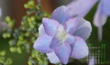 抖音表达亲情的句子