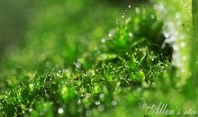 厚重的父爱感人的句子