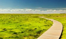 作家写亲情的句子