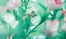 男朋友不开心哄他的句子