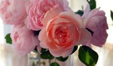 快乐是什么的开心句子