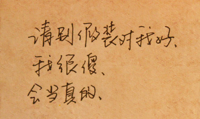 假装句子