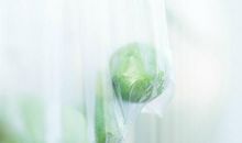 形容有钱没钱开心就好的句子