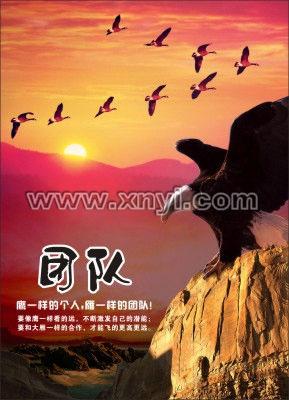 描述团队合作的句子