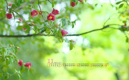10.喜出望外：结束，结束；希望，希望。结果比最初希望的要好，所以我感到非常高兴。