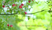 形容开心快乐的词语句子