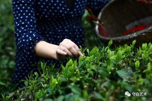 10.在雨季，我会给您祝福的一天：早晨开心的雨，中午的吉祥雨，下午的甜雨，以及晚上的开心雨！记住要赶上“雨”！