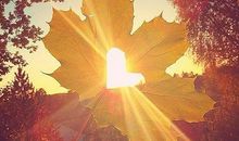 描写阳光的句子精选