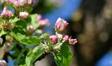 和同事开心的句子说说