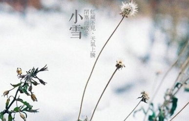 描述小雪2的句子