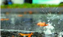 描写秋雨的句子25句