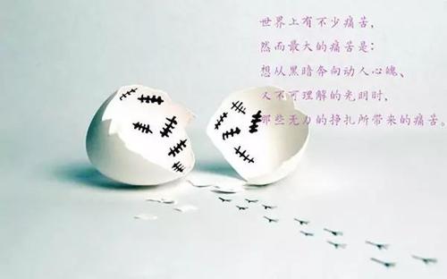 假装句子很强