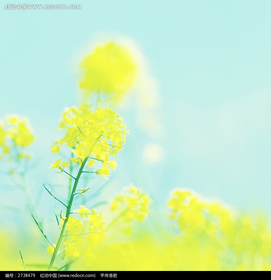 12.今年是a年。一年中增加了一个月。愿你的幸福感增加，孤独感减少，好运增加，倒霉减少。一年增加了三十天，事业日益增加，前途一片光明，每天都有一系列快乐的笑声，幸福和健康。