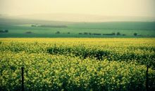 亲情陪伴比金钱的句子