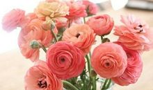 亲情温暖的短句子说说心情短语