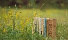 形容离婚后悔的句子