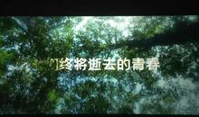 致我们逝去的青春句子