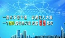 描写团结的句子