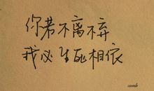 不离不弃的感人句子