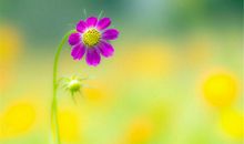 亲情相聚一刻经典句子