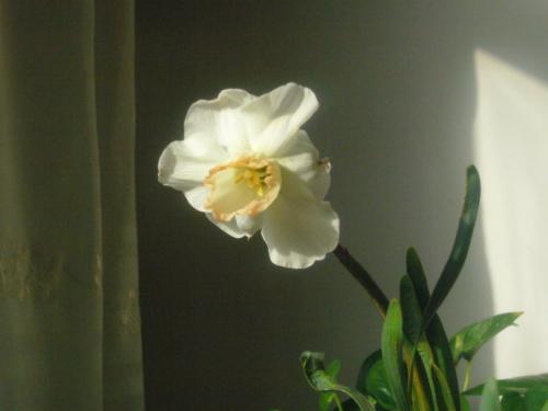 10.这句话是对的。小时候，我可以无忧无虑，长大后，我会经历更多的事情。