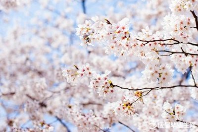 12.细雨一直持续；微风平静而安静；日子忙又忙；未来是温暖而浪漫的；心情是快乐和幸福；周末是自由而轻松的。祝您周末愉快！