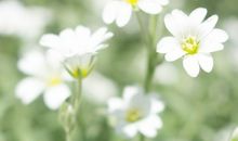 关于开心点的幽默句子