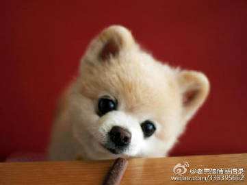 关于谦虚的语录2