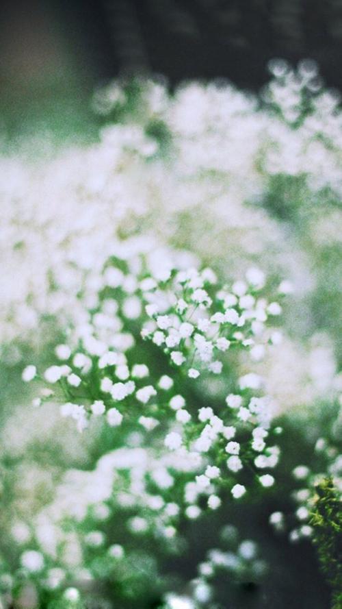 12.体验更深层次的父爱，这是无价的！我要如何在人群中站立并大喊：“爸爸！”