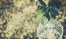 关于不开心的句子成年人