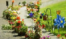 形容父母子女亲情的句子