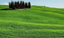 亲情温暖句子说说心情短语