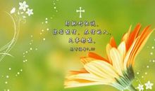 形容亲情的句子