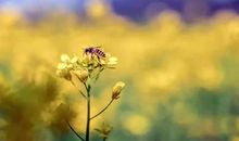 形容后悔婚姻的句子说说心情