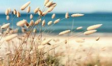 亲情说没就没的句子