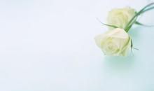 形容珍惜亲情地句子