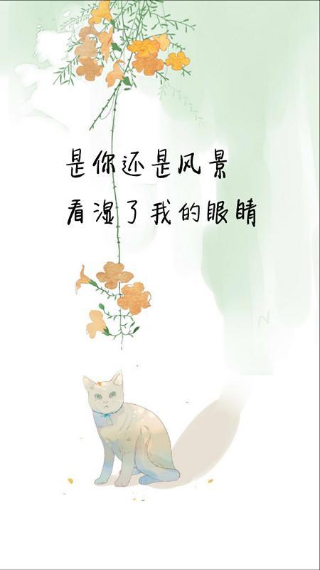 漂亮的句子