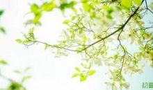 加深骨肉亲情的句子