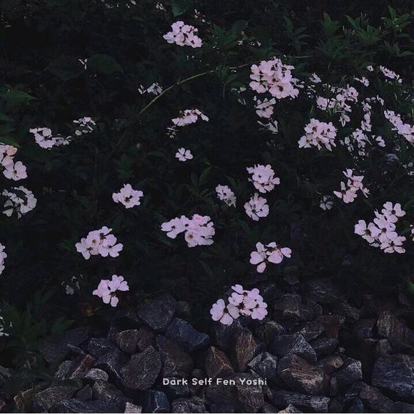 11.在风雨中，我知道你的宝贵；只有踏上成功之路，我才知道你的伟大-谢谢我尊敬的老师！