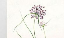 形容失去亲情的句子说说心情短语