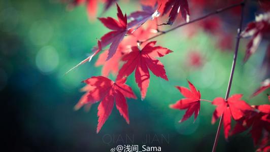 10.早晨有雾。没有明媚的阳光。尽管这种天气并不是旅行的最佳天气，但我们仍然兴奋地参加了西溪湿地秋季之旅。